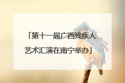 第十一届广西残疾人艺术汇演在南宁举办